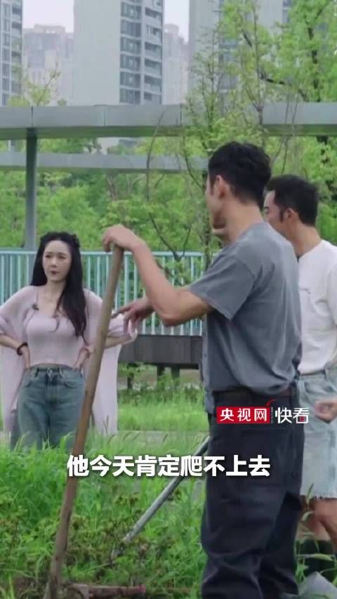 让撒贝宁爬树只需要一个阮经天,激将法用于撒贝宁身上,成功率简直百分百