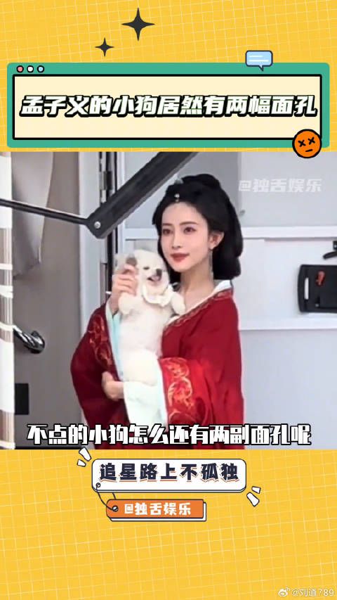 小狗和主人都很可爱了狗狗 向全世界安利 微博VC计划