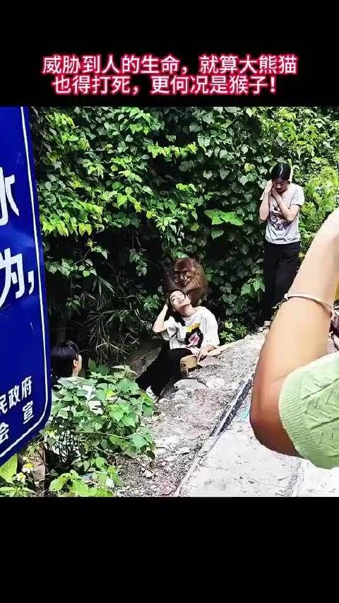 为什么没人敢去救