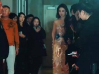 刘亦菲凭《去有风的地方》再获澳门金莲花奖视后