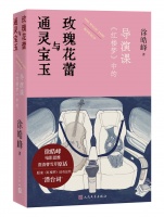 曹雪芹竟然是电影大师？《一代宗师》编剧徐皓峰妙解《红楼梦》