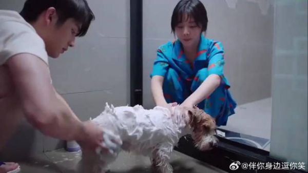 尖尖这段经典语，感人肺腑不愧是全家的“加油站”