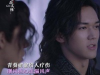 青葵反击沉渊王引热议