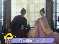 陈瑶新剧要solo出道了 没人陪我们桫椤一起聊江心白啦