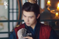 司马焦喂廖停雁幻形丹变水獭，抱枕睡觉萌翻网友