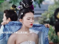 梅四坚称柳府有妖被诓寻仙草，武祯半路将其带回