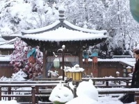 陈飞宇王影璐雪中撑伞演绎恋人秘密