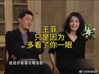只是因为多看了你一眼，于是李亚鹏与王菲的故事开始了！