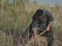 因为一个片段看了整部剧，生万物持续热播中