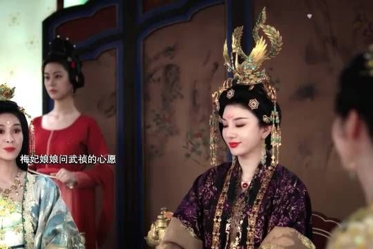 梅妃娘娘是想武祯跟小竹鱼在一起吧,皇后和梅妃都在嗑cp