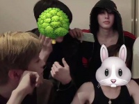 不完全统计的小猫瞄瞄