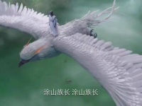 早知如此！涂山璟被害失踪，生死未卜，小夭心碎欲绝，相柳也感同身受