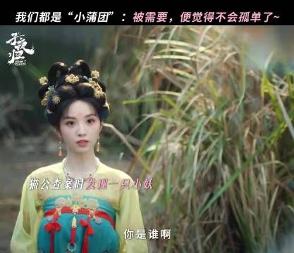 我们都是“小蒲团”:被需要,便觉得不会孤单了