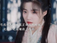 芍药沈焕欢喜冤家终成眷属