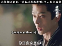 禾晏深知肖珏始终在默默守护，两人彼此奔赴，心意相通