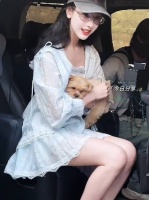 陈都灵浅蓝蕾丝裙抱宠上班，书卷气与凌云志兼具