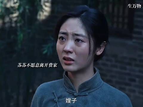 费文典因公牺牲，费家嫂子无情的将苏苏赶出家门，苏苏这一生真的太苦了！