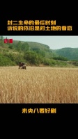 生万物封二去世 生命最后时刻诉说的依旧是对土地的眷恋