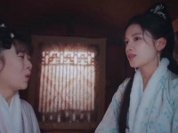 花芷出门遇管家刁难幸得公子解围