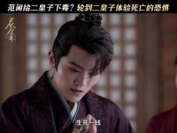 二皇子踢到范闲这块铁板了 “不过是用对方的方法来反击罢了！”