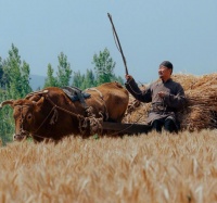 《生万物》封二去世下线,林永健却演活了一个老农民!