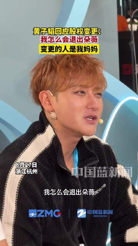 黄子韬回应卫生巾股权变更