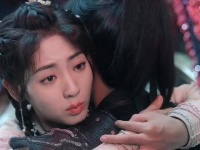 阿狗永远都不会离开白菜