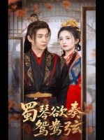 蜀琴轻拨，鸳鸯弦音流转