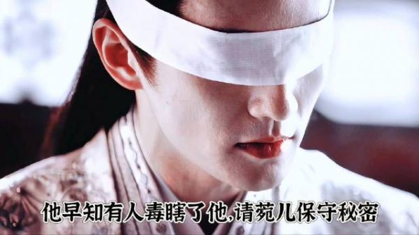 菀儿为泽哥哥治眼疾,发现他是被毒瞎,但他请菀儿守秘密