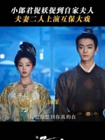 梅逐雨武祯夫妇掉马倒计时，两个人都已经猜到对方的真实身份！许凯田曦薇