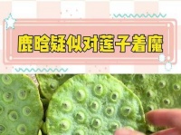 这莲子究竟是什么味道呢