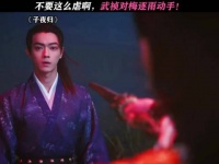 大结局这么虐的吗！武祯对梅逐雨动手! 许凯 田曦薇