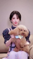 杨紫直播状态在线妆造获满分