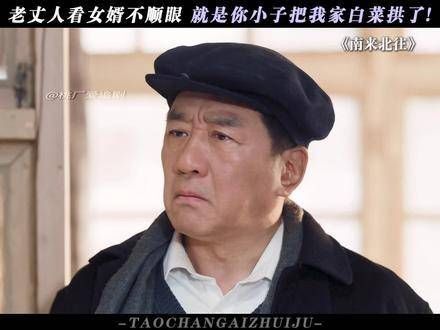 果然岳父看女婿,越看越不顺眼! 白敬亭 丁勇岱 金晨