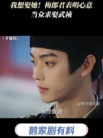 我想要娶她！梅郎君勇敢表白，当场向武祯求婚