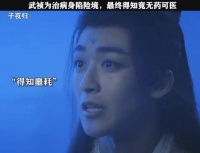 梅逐雨武祯为治病身陷幻境，求得希望却无药可医