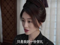 长公主为范闲送上新婚贺礼，祝福满满