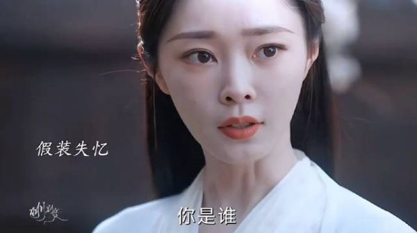 黎霜假死失忆报复晋安,虚惊一场终获幸福