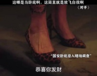 卧底：“局长，再不收网我就当老大了” 对手 颜丙燕