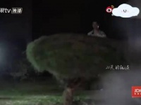 龚俊马思纯互动戏剧性十足，陈数称赞镜头表现