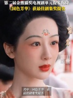 国色芳华提名金熊猫最佳剧集