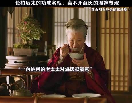 海朝云不愧是连老太太和盛紘都满意的媳妇!