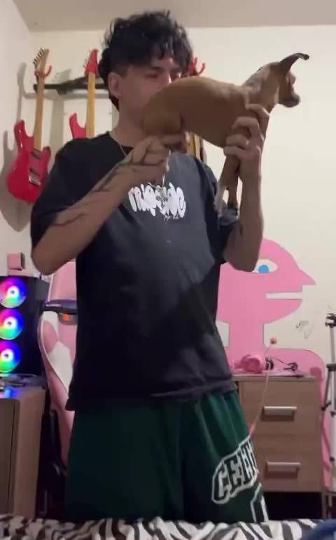 狗:为什么这样扣动扳机