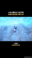 山鸡也胆敢冒充凤凰