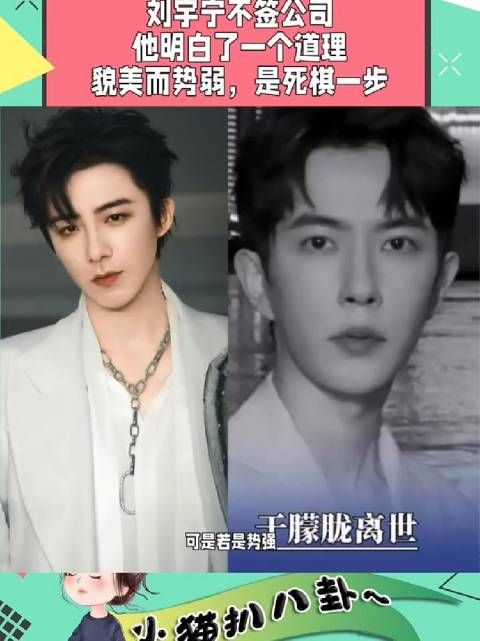 通过于朦胧事件,才明白刘宇宁为什么不签公司,他真的很通透