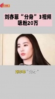 女孩酷似刘亦菲走红