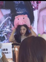 宁艺卓费加罗销量女艺人第一，多品牌代言地广汇总