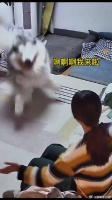 脑子还没反应过来，身体就先动了