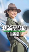 林青霞24年婚姻终结，携20亿抚养费离场