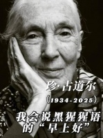 珍·古道尔（1934-2025）：我会说黑猩猩语的“早上好”